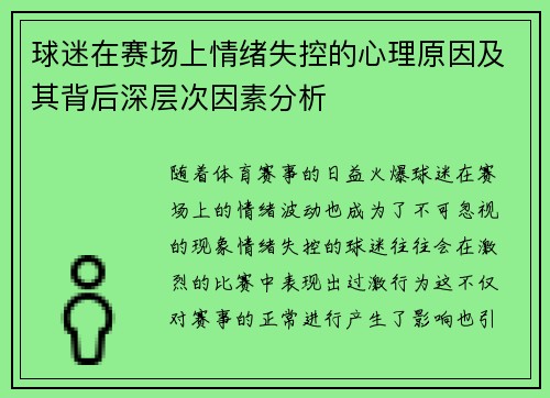 球迷在赛场上情绪失控的心理原因及其背后深层次因素分析