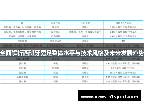 全面解析西班牙男足整体水平与技术风格及未来发展趋势